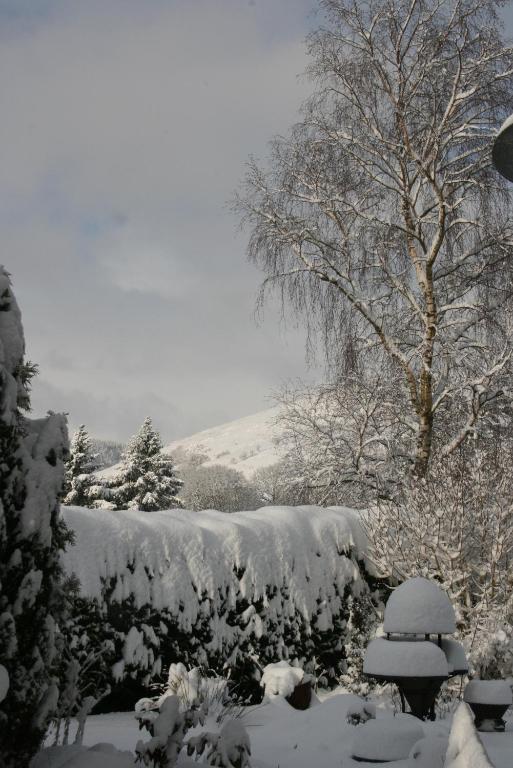 Bed and Breakfast Ty Carreg Лланвртид-Уэлс Экстерьер фото