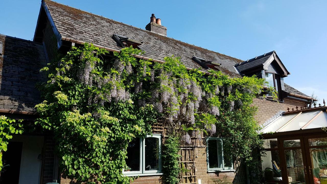 Bed and Breakfast Ty Carreg Лланвртид-Уэлс Экстерьер фото